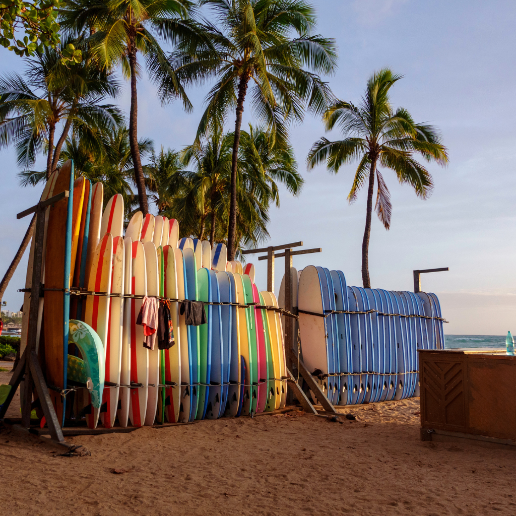 Surfs up in Oahu - Waikiki & North Shore